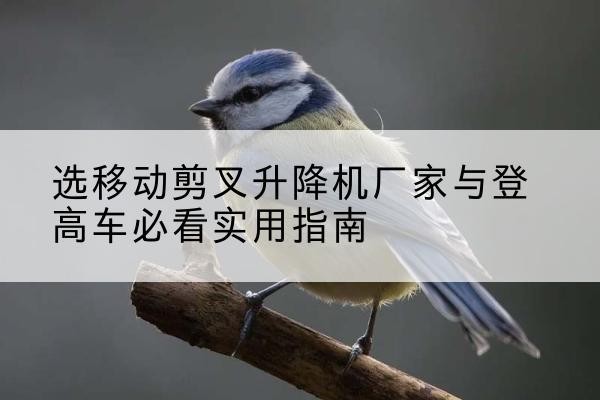 龙马潭电动升降机厂家-选移动剪叉升降机厂家与登高车必看实用指南