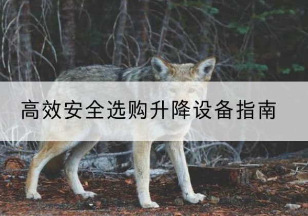 龙马潭升降货梯厂家推荐-*安全选购升降设备指南