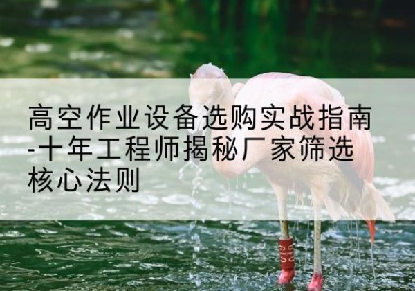 龙马潭剪叉式升降机厂家-高空作业设备选购实战指南-十年工程师揭秘厂家筛选核心法则