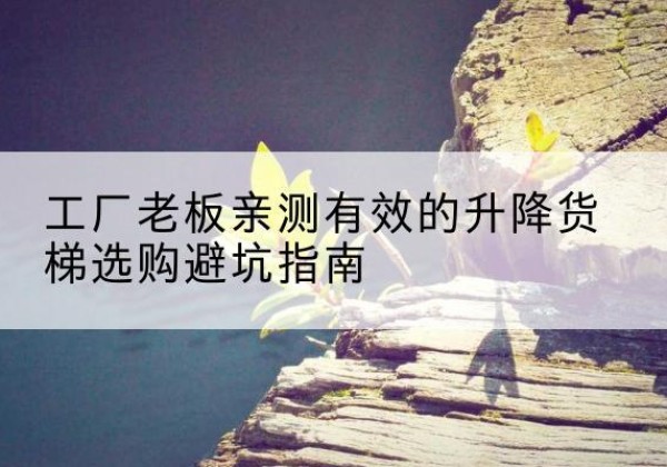 龙马潭升降货梯怎么选-工厂老板亲测有效的升降货梯选购避坑指南